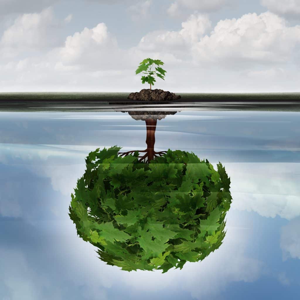 Insurance Contract Negotiation Service